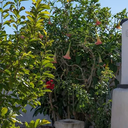 Apartamento Años Locos *